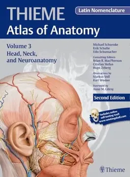 Thieme atlas of anatomy risnedsättning